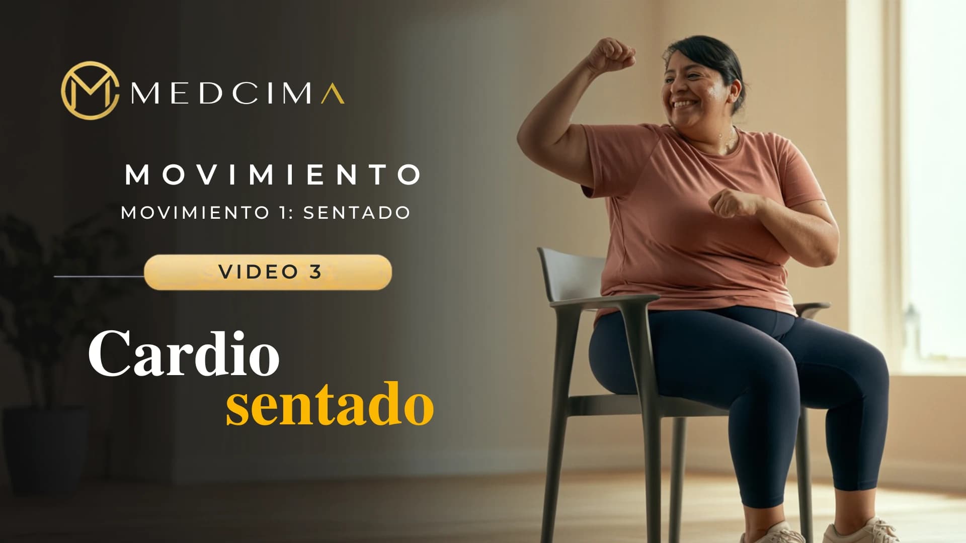 Video 3: Cardio sentado