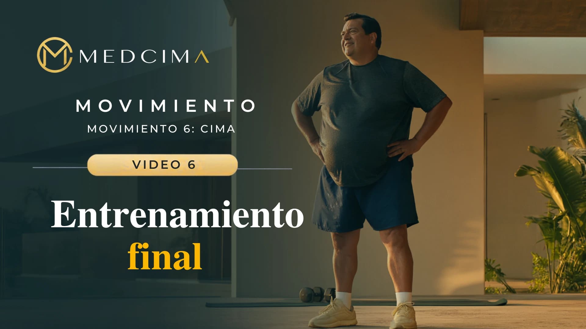 Video 6: Entrenamiento final